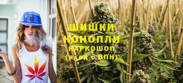 ГАЛЛЮЦИНОГЕННЫЕ ГРИБЫ Зеленокумск