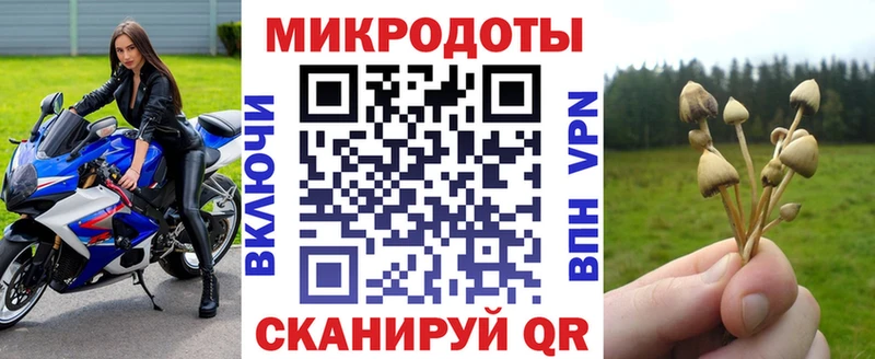 Псилоцибиновые грибы мухоморы  Инта 